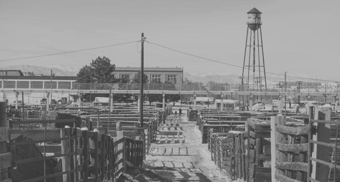 Black and white photo of a dockyard with boats and a water tower.