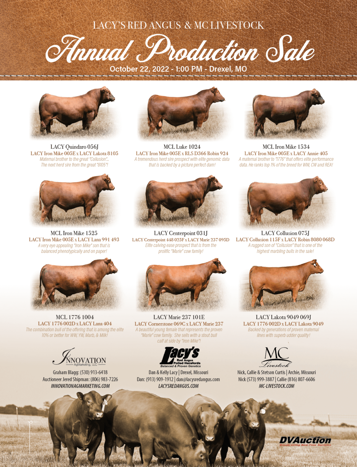 Chart showing various Angus cattle breeds with descriptions and characteristics.
