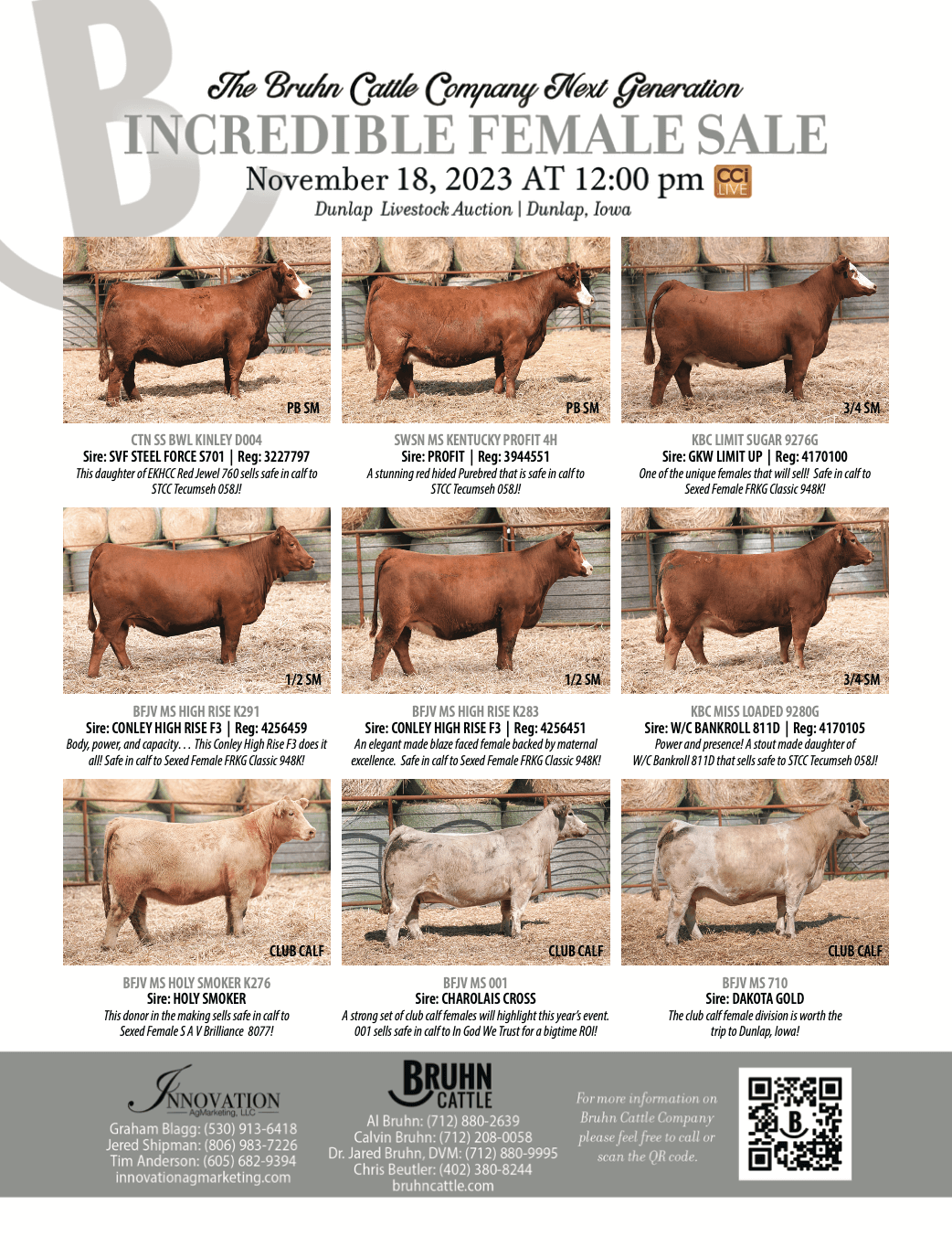 11.18.23 – Bruhn Cattle Company Incredible Female Sale ***CATALOG & VIDEOS  NOW AVAILABLE ONLINE*** | Innovation Ag Marketing