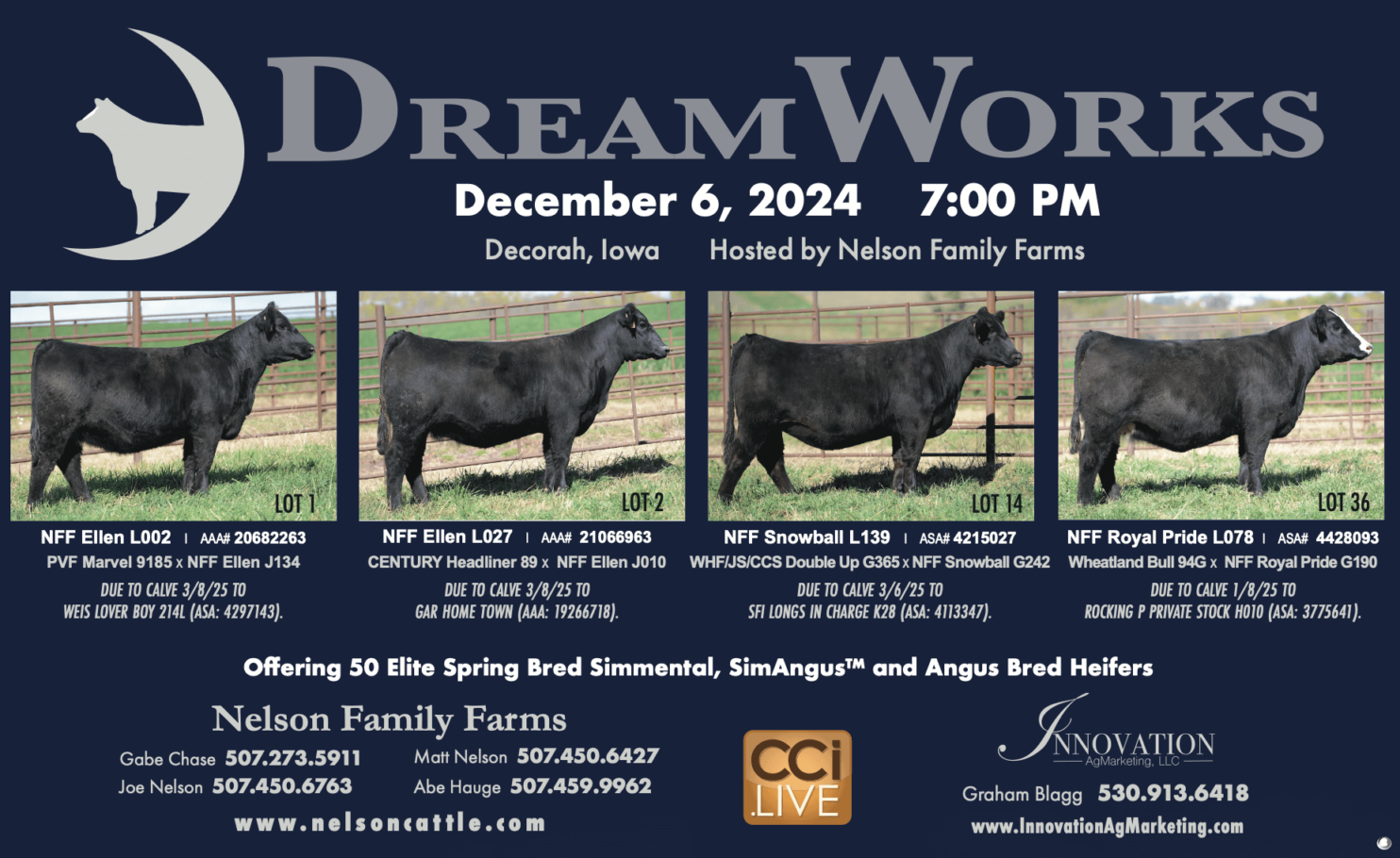 Flyer for DreamWorks event on December 6, 2024, hosted by Nelson Family Farms.